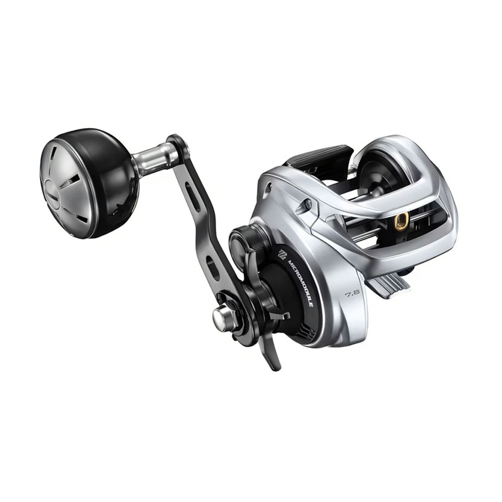 2026 SHIMANO TRANX 400 Baitcas - Daiwa Reel Bg recensie en prijs